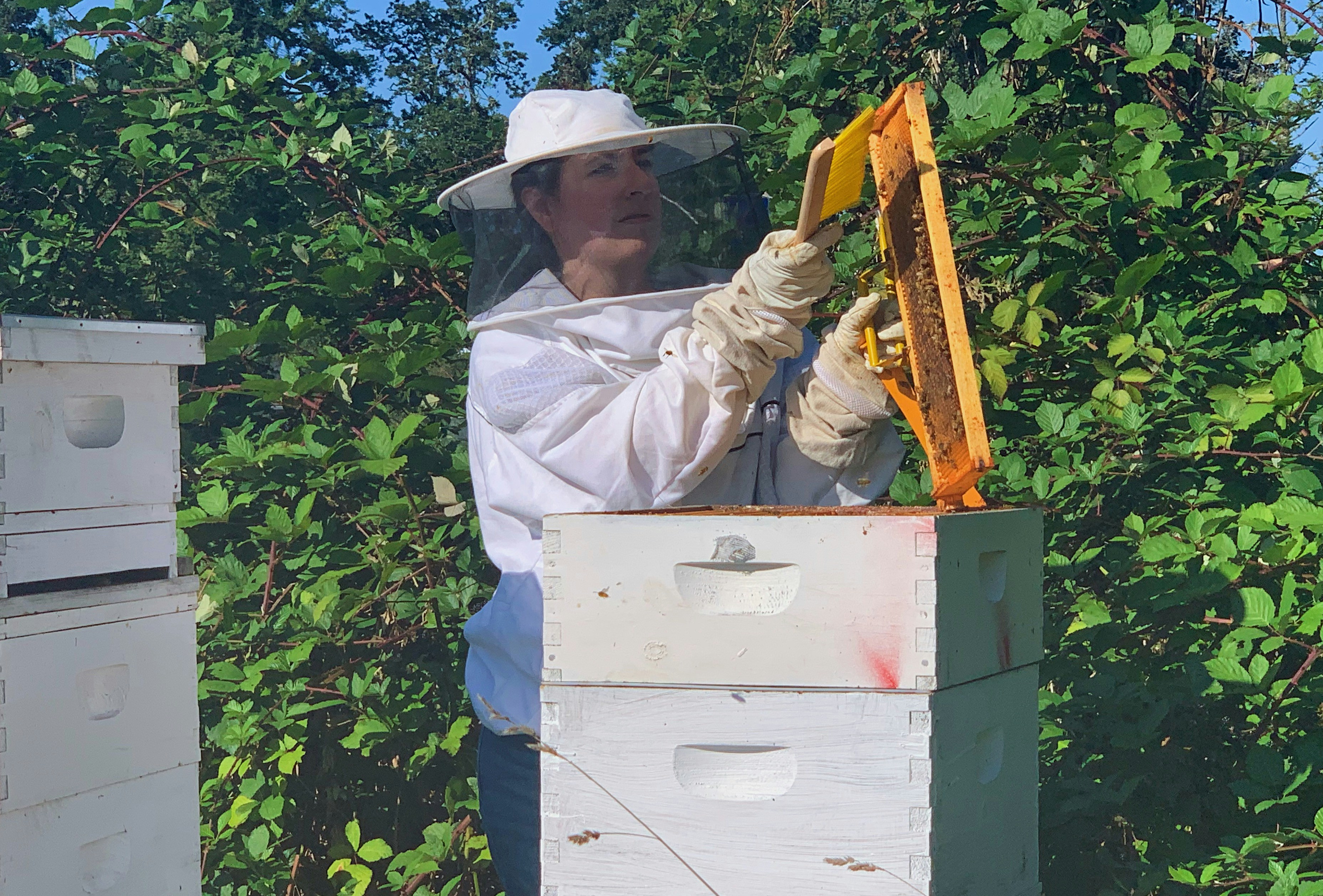 A Person Wearing A White Hat And White Jacket Holding A Yellow Frame